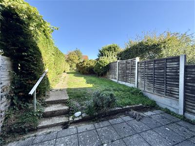 Picture 7